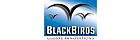 Blackbirds srl