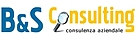 B&S Consulting Srl